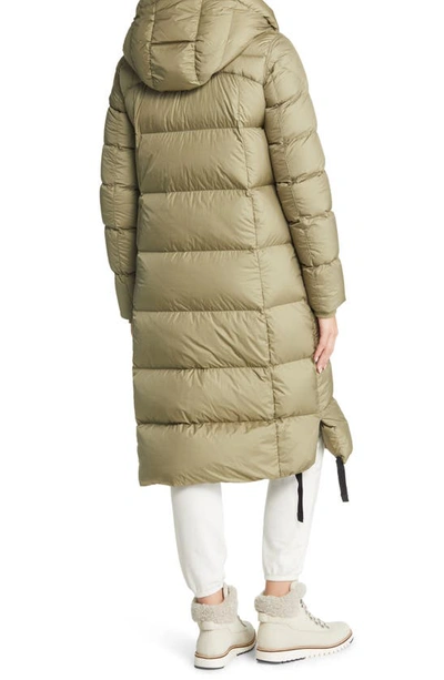 Shop Parajumpers Panda Hooded 700 Fill Power Down Puffer Parka In Dried Herb