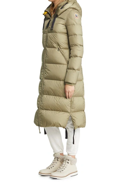 Shop Parajumpers Panda Hooded 700 Fill Power Down Puffer Parka In Dried Herb