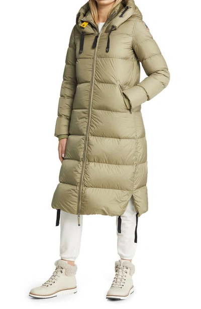 Shop Parajumpers Panda Hooded 700 Fill Power Down Puffer Parka In Dried Herb