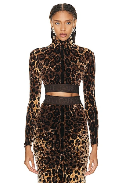 Shop Dolce & Gabbana Long Sleeve Top In Leopard