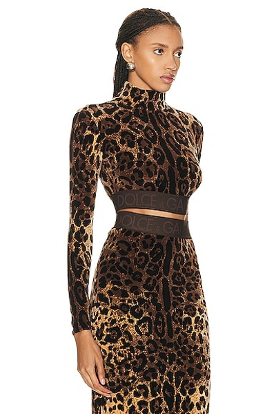 Shop Dolce & Gabbana Long Sleeve Top In Leopard