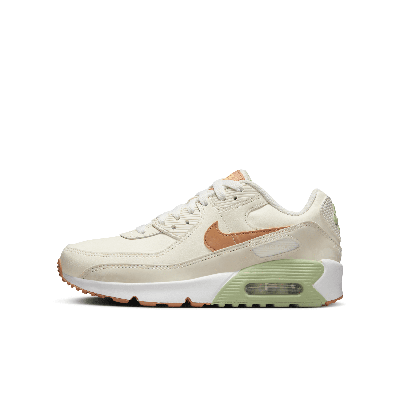 Shop Nike Air Max 90 Ltr Big Kids' Shoes In Brown