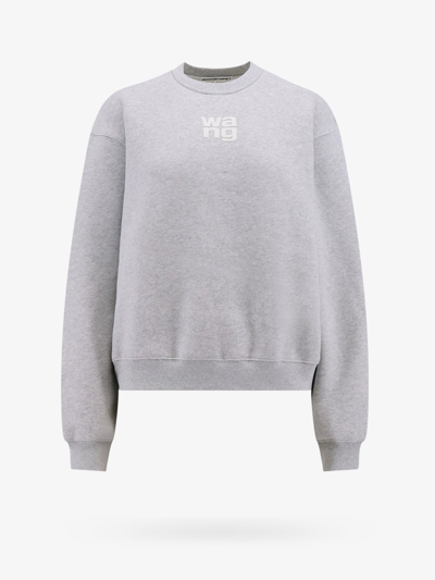 Shop Alexander Wang T Sweatshirt In Grey