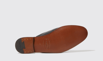 Scarosso Serena Mules In Black - Calf