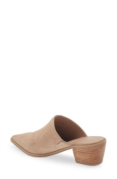 Chocolat Blu Cellia Pointed Toe Mule In Latte Suede