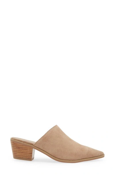 Chocolat Blu Cellia Pointed Toe Mule In Latte Suede