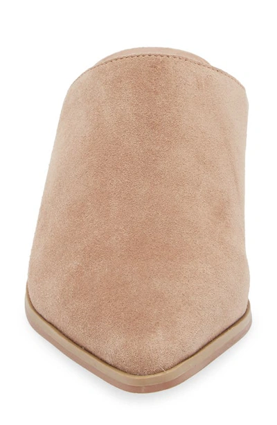 Chocolat Blu Cellia Pointed Toe Mule In Latte Suede