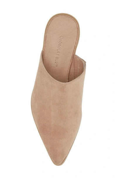 Chocolat Blu Cellia Pointed Toe Mule In Latte Suede