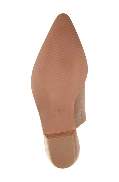 Chocolat Blu Cellia Pointed Toe Mule In Latte Suede