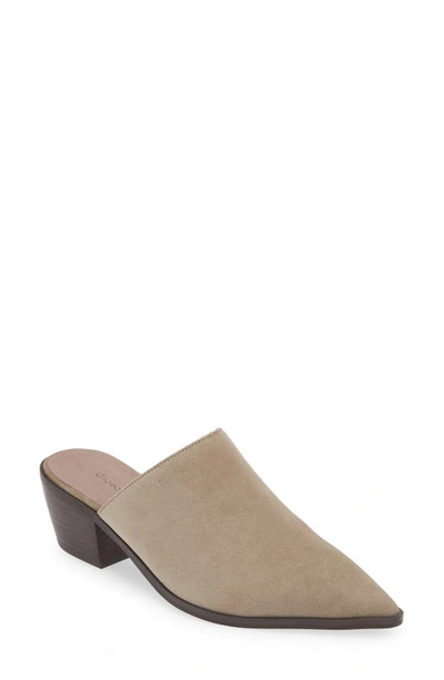 Shop Chocolat Blu Cellia Pointed Toe Mule In Taupe Suede