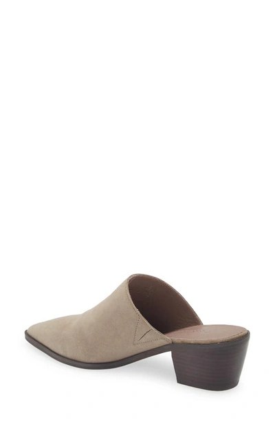 Shop Chocolat Blu Cellia Pointed Toe Mule In Taupe Suede