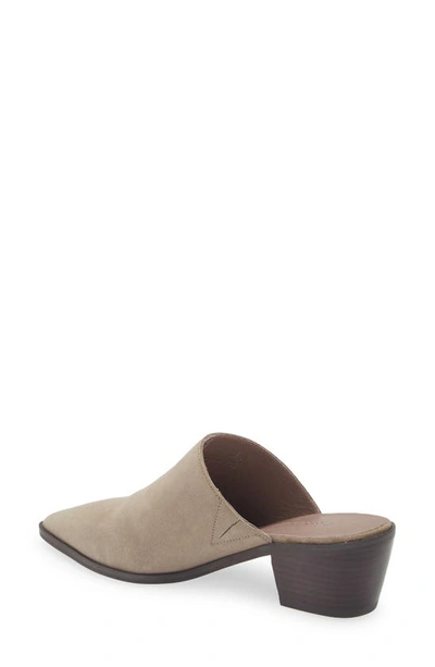 Chocolat Blu Cellia Pointed Toe Mule In Taupe Suede