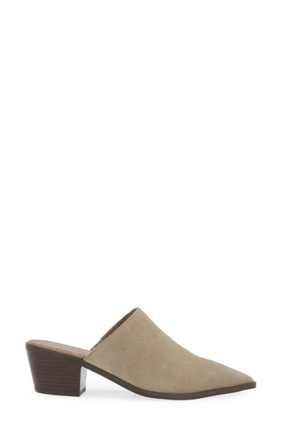 Chocolat Blu Cellia Pointed Toe Mule In Taupe Suede