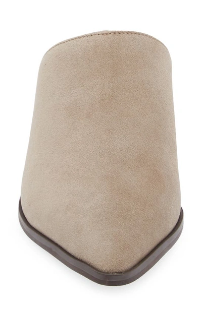 Chocolat Blu Cellia Pointed Toe Mule In Taupe Suede