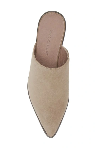 Chocolat Blu Cellia Pointed Toe Mule In Taupe Suede