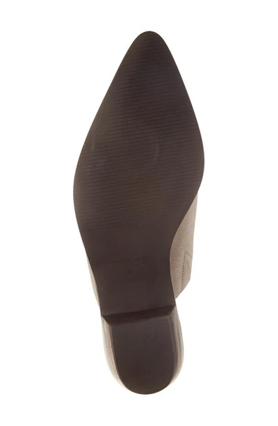 Chocolat Blu Cellia Pointed Toe Mule In Taupe Suede