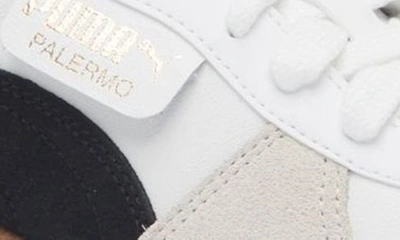Puma Palermo Lth Sneakers In  White-vapor Gray-gum