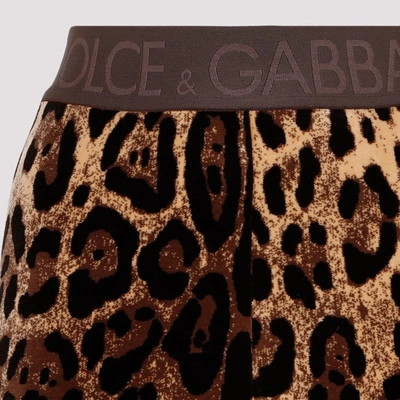 Shop Dolce & Gabbana Cotton Leggings Pants In Brown