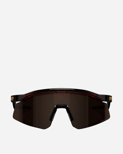 Shop Oakley Hydra Sunglasses Rootbeer In Red