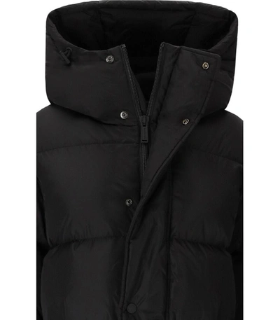Shop Dsquared2 Puff Black Hooded Puffer With Belt