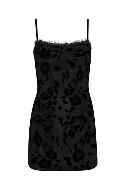 Shop Danielle Guizio Ny Mesh Mini Dress In Black