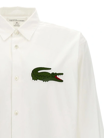 Shop Comme Des Garçons Shirt X Lacoste Shirt In White