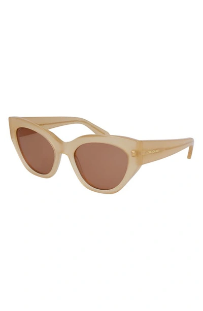 Shop Ferragamo Classic Logo Tea Cup 55mm Cat Eye Sunglasses In Opaline Honey