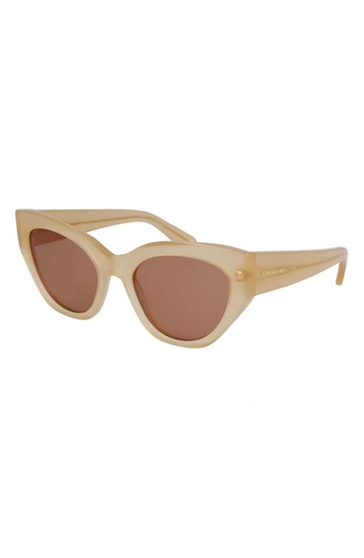 Ferragamo Classic Logo Tea Cup 55mm Cat Eye Sunglasses In Opaline Honey