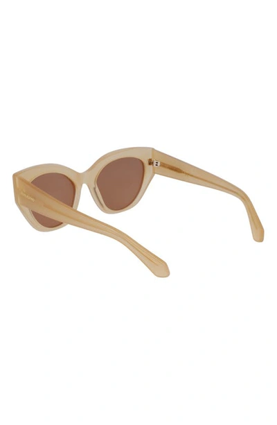 Shop Ferragamo Classic Logo Tea Cup 55mm Cat Eye Sunglasses In Opaline Honey