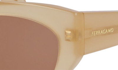 Shop Ferragamo Classic Logo Tea Cup 55mm Cat Eye Sunglasses In Opaline Honey