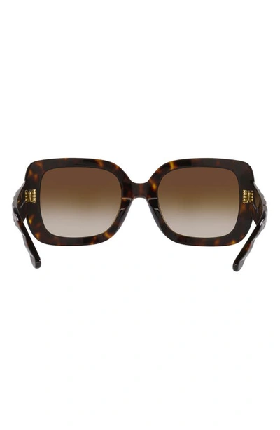 Shop Tory Burch 54mm Butterfly Sunglasses In Brown Tort