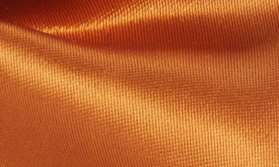 Clifton Wilson Silk Butterfly Bow Tie In Copper