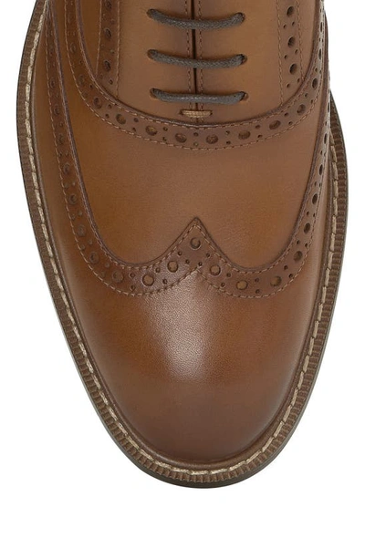 Vince Camuto Lazzarp Wingtip Oxford Shoe In Cognac In Cognac/ Brown
