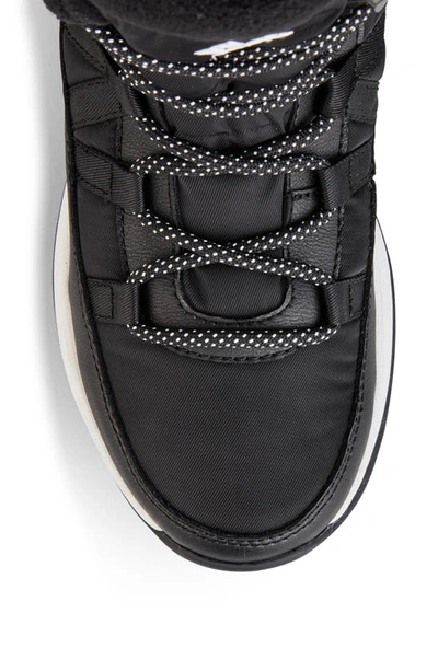 Shop Cougar Steeze Waterproof High Top Sneaker In Black