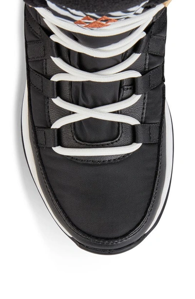 Cougar Steeze Waterproof High Top Sneaker In Zebra