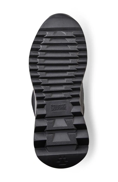 Cougar Steeze Waterproof High Top Sneaker In Zebra