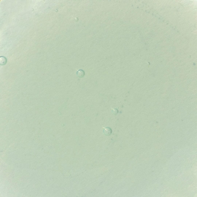 Nopalera Dulce Cactus Shower Gel