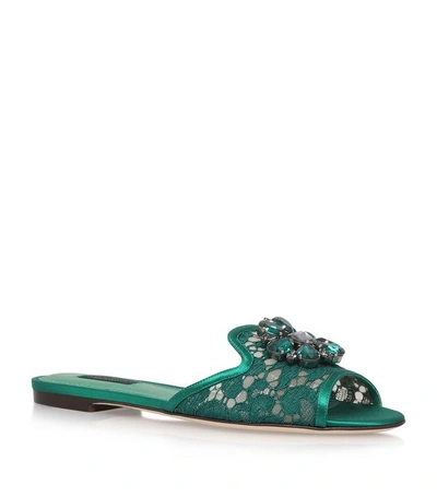 Shop Dolce & Gabbana Sofia Embellished Lace Slides