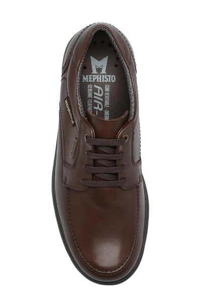 Shop Mephisto Arthus Moc Toe Waterproof Sneaker In Dark Brown