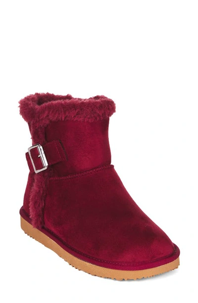 Shop Floopi Faux Fur Lined Ankle Boot In Burgundy