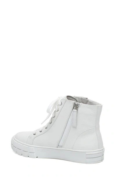 Shop Linea Paolo Gio Sneaker In Winter White