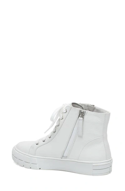 Linea Paolo Gio Sneaker In Winter White