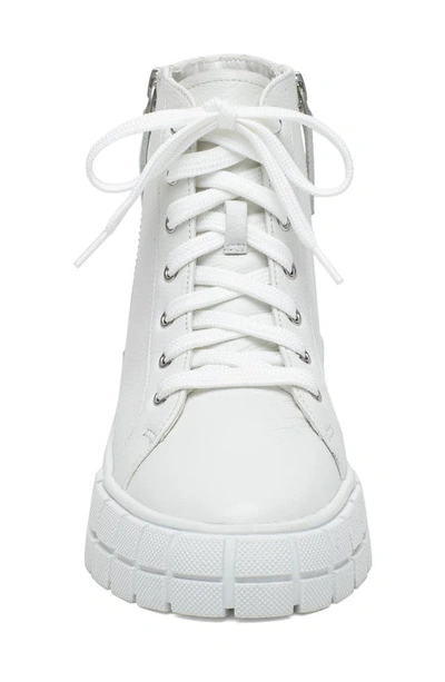 Linea Paolo Gio Sneaker In Winter White