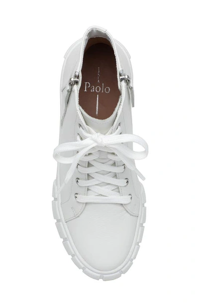 Linea Paolo Gio Sneaker In Winter White