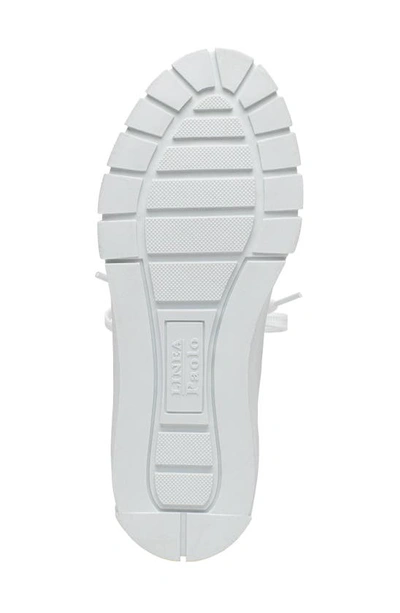 Linea Paolo Gio Sneaker In Winter White