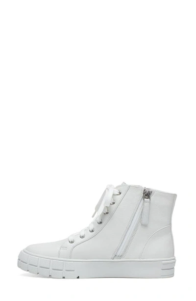 Linea Paolo Gio Sneaker In Winter White