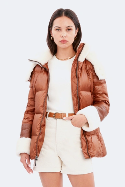Dawn Levy Aspen Jacket In Green