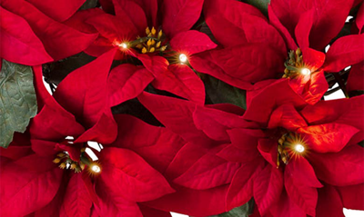 Balsam Hill Poinsettia 26-inch Led Light Wreath In Red