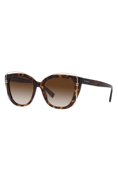Shop Tiffany & Co 54mm Gradient Cat Eye Sunglasses In Brown Gradient