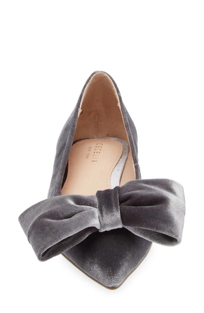 Shop Cecelia New York Brie Bow Pointed Toe Flat In Gray Velvet